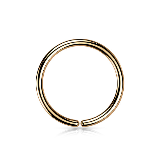 Titanium PVD Plated Seamless Hoop